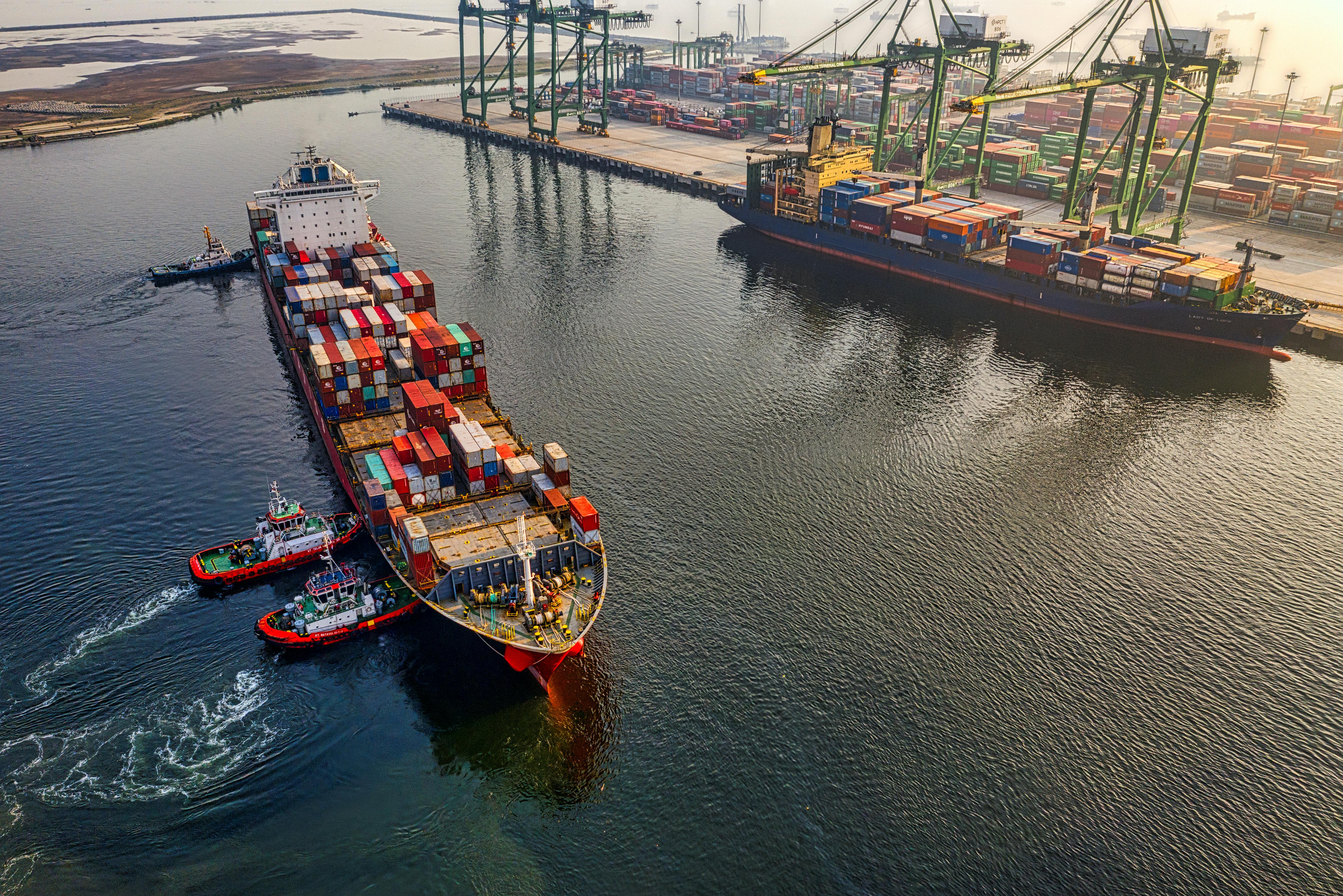 Import & Export Expertise